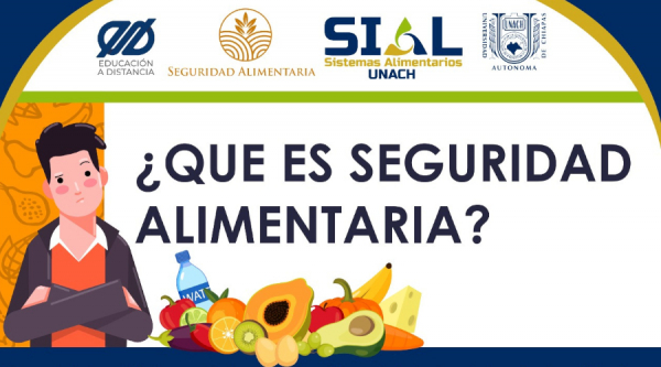 ¿Que es seguridad alimentaria?